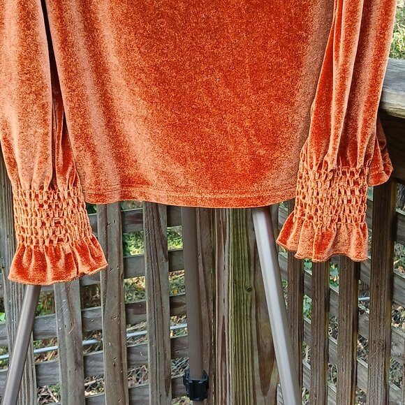 Romantic Rust Velvet Long Sleeved Shirred Wrists & Ruffled Cuss & Neck Top Sz M - Picture 4 of 9